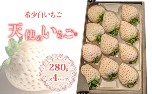いちご 『先行予約』【2026年1月下旬以降お届け】 天使のいちご 白いちご 280g×4p 計4パック 1120g フルーツ いちご 苺 イチゴ 果物 デザート 福岡県 小郡市 福田ファーム ※配送不可：沖縄、離島 2367743 - 福岡県小郡市