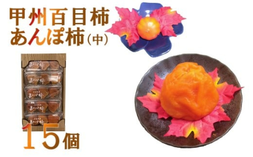 【山梨県産】甲州百目柿 あんぽ柿【中】（干し柿）１５個　干柿 ほし柿 ドライフルーツ 山梨 やまなし 富士川町 2367787 - 山梨県富士川町