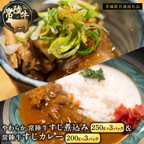 やわらか 常陸牛 すじ煮込み と すじカレー セット 各3パック 【茨城県共通返礼品】 カレー 牛すじ 煮込み お肉 牛肉 簡単 冷凍 レトルト 2367894 - 茨城県牛久市