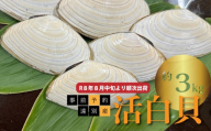 [事前予約]R8年8月中旬より順次出荷 遠別産 活白貝(約3kg)
