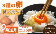 【2月発送】 3種のたまご食べ比べセット 計30個 (10個×3パック) ※割れ保証5個含む | たまご 卵 玉子 タマゴ 鶏卵 オムレツ 卵かけご飯 たまご焼き 愛媛県 松山市
