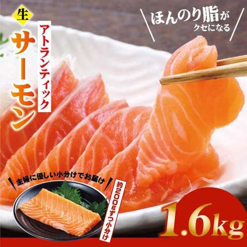 生食可！アトランティックサーモン 合計1.6kg【小分け 柵切り 刺身 魚介 海鮮】 G3551 2367940 - 大阪府泉佐野市