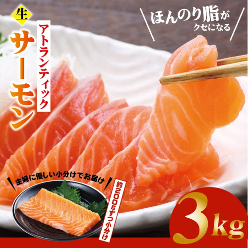 生食可！アトランティックサーモン 合計3kg【小分け 柵切り 刺身 魚介 海鮮】 G3554 2367951 - 大阪府泉佐野市