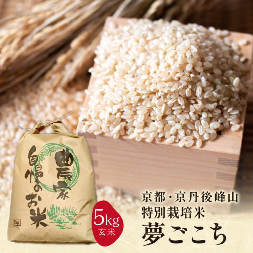 2025年産 京都・京丹後峰山 特別栽培米夢ごこち 5kg 【玄米】
 2368042 - 京都府京丹後市