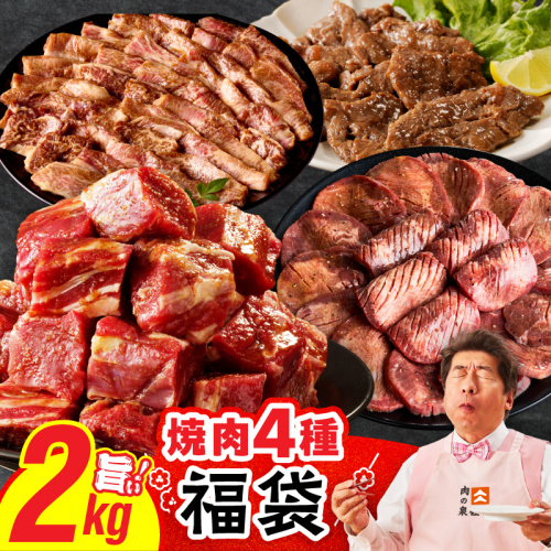 2025年 焼肉 福袋 4種 2kg【氷温熟成×特製ダレ 500g 小分け 牛肉 牛タン ヒレ ハラミ バラ 数量限定】 mrz0233 2368046 - 大阪府泉佐野市