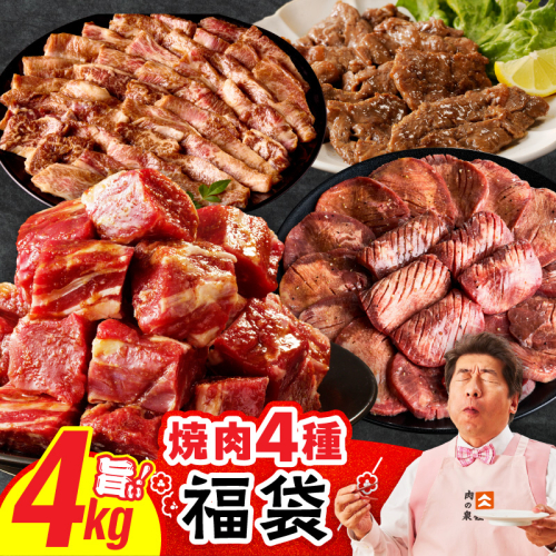 焼肉 福袋 4種 4kg【氷温熟成×特製ダレ 500g 小分け 牛肉 牛タン ヒレ ハラミ バラ 数量限定】 mrz0337 2368047 - 大阪府泉佐野市