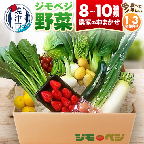 a10-1232　ジモベジ野菜セット
 2368050 - 静岡県焼津市