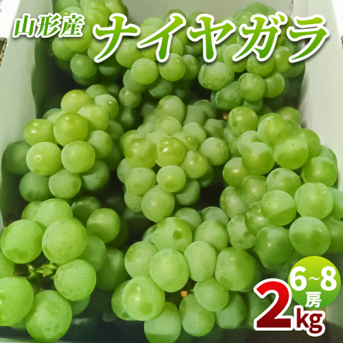 山形産 ナイヤガラ2kg 秀品(6～8房)【令和8年産先行予約】FS25-078 2368051 - 山形県山形市