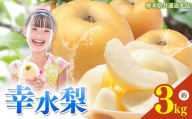 栃木県産 梨 幸水 3kg [2026年先行予約]| こうすい なし ナシ 完熟 果物 フルーツ プレゼント ご褒美 お取り寄せ 贈答 おいしい ジューシー 数量 限定 栃木県産 栃木県 真岡市 減農薬 送料無料