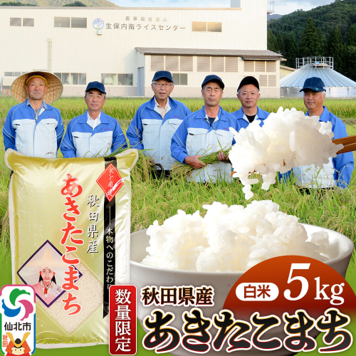 【白米】あきたこまち 5kg（5kg×1袋）精米  秋田県仙北市産 5キロ 2368143 - 秋田県仙北市