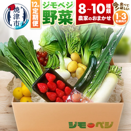 b120-043　【定期便 全12回】ジモベジ 野菜 セット
 2368168 - 静岡県焼津市