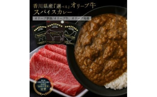 香川県産オリーブ地鶏スパイスカレー 2368255 - 香川県三豊市