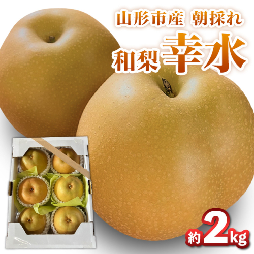 山形市産朝採れ【和梨(幸水)】 6～7玉 約2kg【令和8年産先行予約】FS25-093 2368286 - 山形県山形市