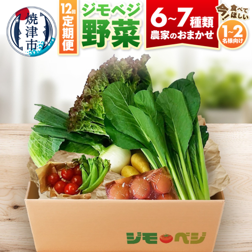 a90-009　【定期便 全12回】ジモベジ 野菜 ハーフセット
 2368287 - 静岡県焼津市