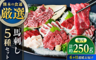 【全6回定期便】馬刺し 5種 盛り合わせセット 5人前 約250g 熊本直送 赤身馬刺し 霜降り馬刺し コーネ(たてがみ)馬刺し フタエゴ バラヒモ コウネ 熊本馬刺し 冷凍 馬肉 馬刺 ヘルシー馬刺し ばさし 馬肉 小分け おつまみ 晩酌 熊本県 合志市【株式会社Foody’s】 [AYAT024]