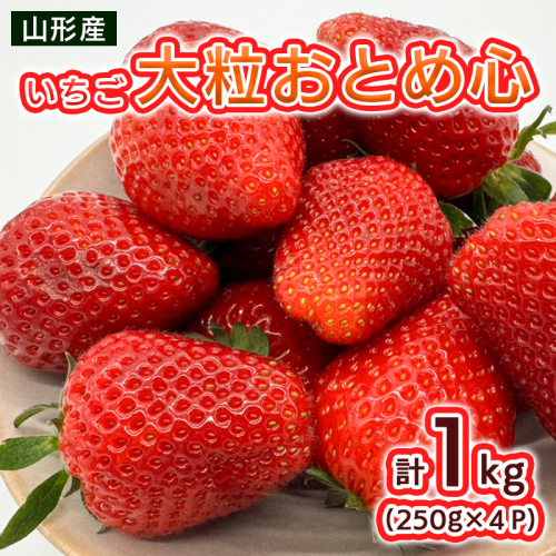 いちご 大粒おとめ心 1kg(250g×4パック)【令和8年産先行予約】FS25-096 2368343 - 山形県山形市