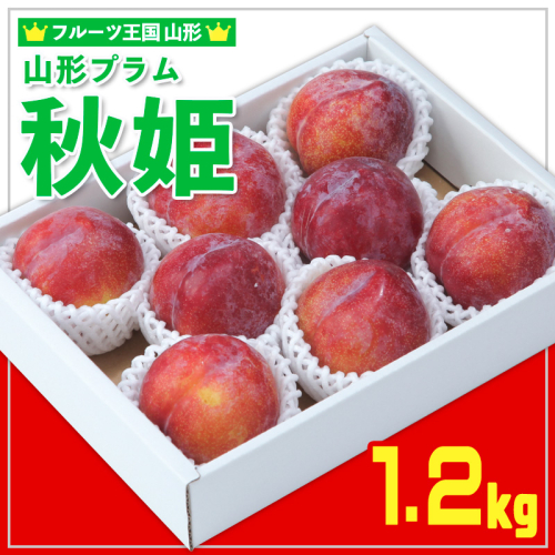 ★フルーツ王国山形★山形プラム(秋姫)1.2kg すもも【令和8年産先行予約】FS25-097 2368345 - 山形県山形市