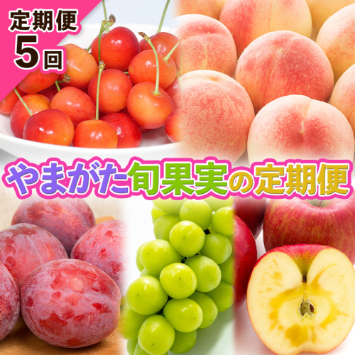 【定期便5回】やまがた旬果実の定期便【令和8年産先行予約】FS25-091 2368346 - 山形県山形市