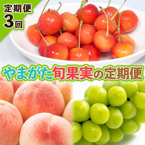 【定期便3回】やまがた旬果実の定期便【令和8年産先行予約】FS25-092 2368348 - 山形県山形市