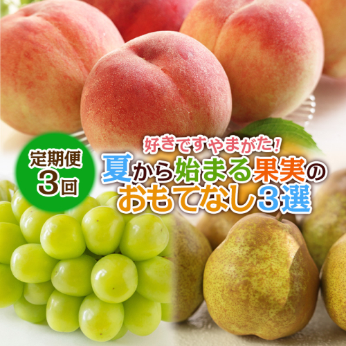【定期便3回】好きですやまがた！夏から始まる果実のおもてなし 3選【令和8年産先行予約】FS25-099 2368442 - 山形県山形市