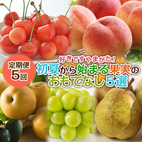 【定期便5回】好きですやまがた！初夏から始まる果実のおもてなし 5選【令和8年産先行予約】FS25-100 2368444 - 山形県山形市