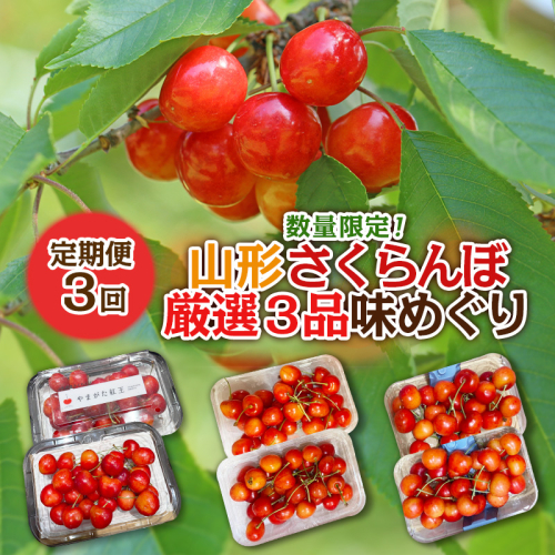 【定期便3回】数量限定！山形さくらんぼ厳選３品味めぐり【令和8年産先行予約】FS25-102 2368462 - 山形県山形市