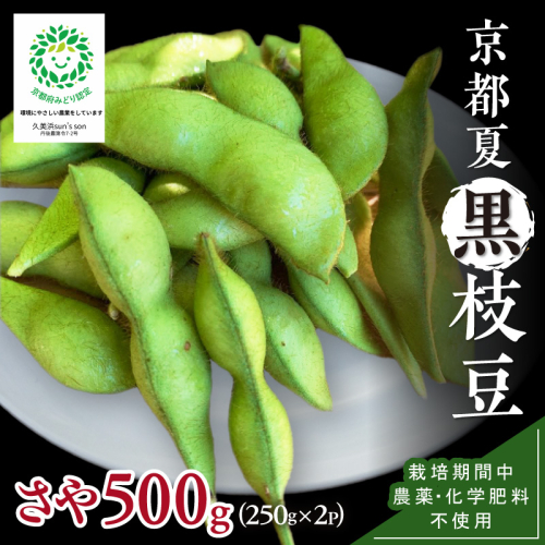 【先行予約／数量限定40】京都夏黒枝豆さや 500g（250g×2パック）（2026年7月中旬～発送） 野菜 豆類 黒豆 黒枝豆 晩酌 おつまみ おかず 京都 ふるさと納税 枝豆
 2368474 - 京都府京丹後市