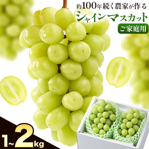 【2026年先行予約】ぶどう シャインマスカット ご家庭用 農家こだわりの シャインマスカット 2房 3～5房 約1kg ～ 2kg 《2026年9月中旬-10月下旬頃出荷(土日祝除く)》 Nini farm マスカット 送料無料 岡山県 浅口市 フルーツ 果物 贈り物 国産 岡山県産 くだもの 果物 青果物 2368475 - 岡山県浅口市