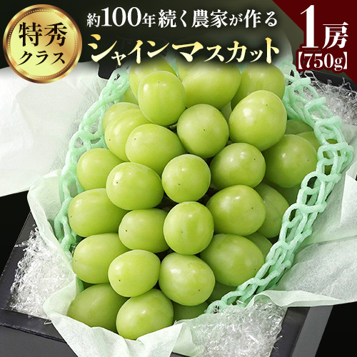 【2026年先行予約】ぶどう シャインマスカット 農家自慢の最高ランク シャインマスカット 1房 約750g 特秀クラス《2026年9月中旬-10月下旬頃出荷(土日祝除く)》 Nini farm マスカット 送料無料 岡山県 浅口市 フルーツ 果物 贈り物 国産 岡山県産 くだもの 果物 青果物 2368476 - 岡山県浅口市