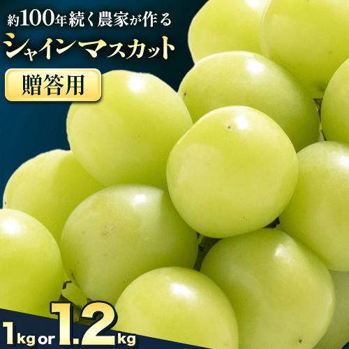 【2026年先行予約】ぶどう シャインマスカット 贈答用 農家こだわりの シャインマスカット 2房 または 2～3房 約1kg ～ 1.2kg 《2026年9月中旬-10月下旬頃出荷(土日祝除く)》 Nini farm マスカット 送料無料 岡山県 浅口市 フルーツ 果物 贈り物 国産 岡山県産 くだもの 果物 青果物 2368478 - 岡山県浅口市