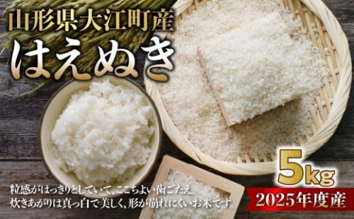 山形県大江町産 はえぬき5kg【2025年度産米】 【004-019】 2368788 - 山形県大江町