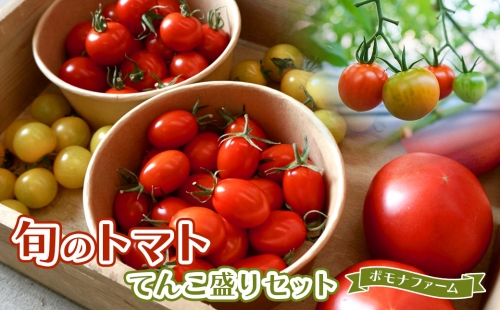 PF-01　旬のトマトのてんこ盛りセット 23687 - 三重県多気町
