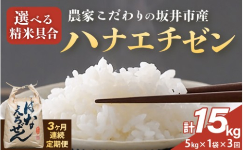 定期便 ≪3ヶ月連続お届け≫ 【令和8年産】農家こだわりの坂井市産 ハナエチゼン 5kg × 3回 (計15kg) 【白米】 【米 コメ お米 華越前 5キロ ふるさと納税米 ブランド米 国産】 [B-10204_01] 2368841 - 福井県坂井市