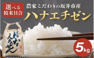 【令和7年産】農家こだわりの坂井市産 ハナエチゼン 5kg 【白米】 【米 コメ お米 華越前 5キロ ふるさと納税米 ブランド米 国産】 [A-10212_01]