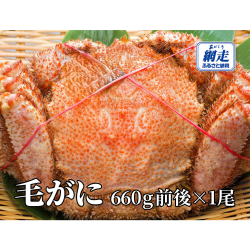 網走産 毛がに660g前後×1尾 ABW106 2368987 - 北海道網走市