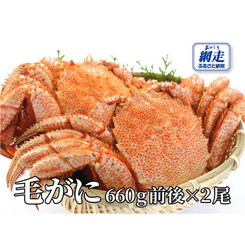 網走産 毛がに1.32kg前後（660g前後×2尾） ABW107 2368988 - 北海道網走市