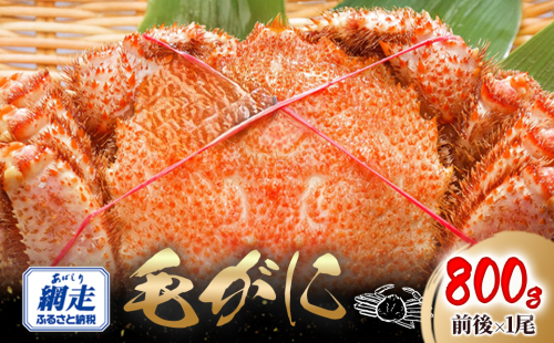 網走産 毛がに800g前後×1尾 ABW108 2368989 - 北海道網走市