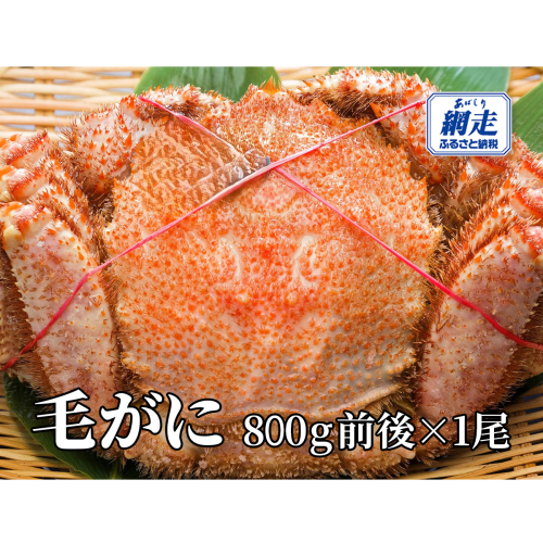 網走産 毛がに800g前後×1尾 ABW108 2368989 - 北海道網走市