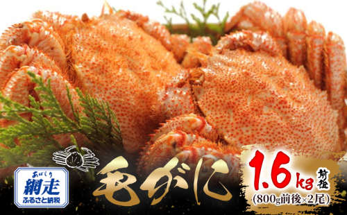 網走産 毛がに1.6kg前後（800g前後×2尾） ABW109 2368990 - 北海道網走市