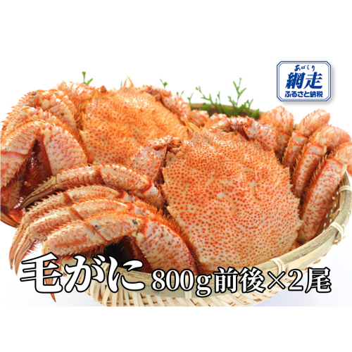 網走産 毛がに1.6kg前後（800g前後×2尾） ABW109 2368990 - 北海道網走市