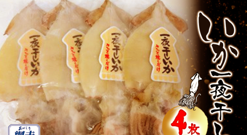 いか一夜干し 4枚 中サイズ ABW113 2368994 - 北海道網走市