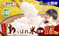 【9ヶ月定期便】熊本県産 くまもとあっぱれ米 白米 ブレンド米 15kg 熊本県産 ふるさと納税  精米 米 こめ ふるさとのうぜい コメ お米 おこめ《お申込み翌月から出荷》
