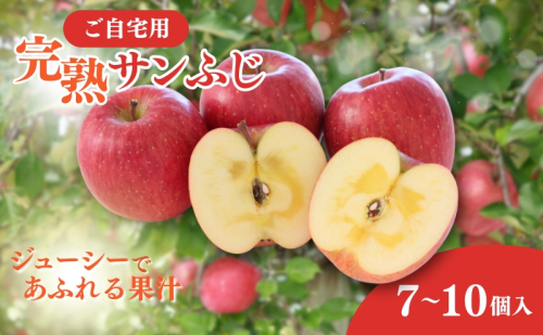 りんご ご自宅用 完熟サンふじ 7-10個入り リンゴ フルーツ 果物 デザート 信州 長野市 2369386 - 長野県長野市