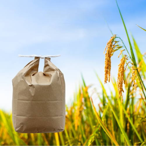 令和7年産 あきたこまち 玄米 5kg 秋田県産 湯沢市産 新米 お米 国産 ご飯【BARUバイオジャパン吉村】[B5-9904] 2369391 - 秋田県湯沢市