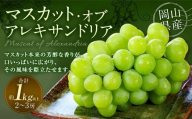 マスカット・オブ・アレキサンドリア 2〜3房 (合計1.0kg以上) [2026年8月下旬〜9月下旬 発送予定] マスカット 葡萄 ぶどう ブドウ 果物 果実 フルーツ 岡山県 奈義町 冷蔵