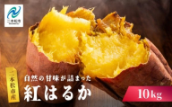 自然の甘みがぎゅっと詰まった さつまいも  紅はるか 10kg 焼き芋 スイーツ 冷凍 やきいも 野菜 サツマイモ 農家直送 新鮮 いも イモ おすすめ お中元 お歳暮 ギフト 二本松市 ふくしま 福島県 送料無料【株式会社橋本】