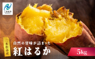 自然の甘みがぎゅっと詰まった さつまいも  紅はるか 5kg 焼き芋 スイーツ 冷凍 やきいも  野菜 サツマイモ 農家直送 新鮮 いも イモ おすすめ お中元 お歳暮 ギフト 二本松市 ふくしま 福島県 送料無料【株式会社橋本】