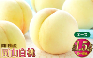 岡山白桃 エース 4～8玉 約1.5kg 岡山県産【2026年7月上旬～8月下旬発送予定】 白桃 桃 もも モモ
