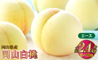 岡山白桃 エース 5～10玉 約2.4kg 岡山県産【2026年7月上旬～8月下旬発送予定】 白桃 桃 もも モモ