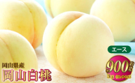 岡山白桃 エース 3玉×約300g（3Lサイズ） 計約900g 岡山県産【2026年7月上旬～8月下旬発送予定】 白桃 桃 もも モモ